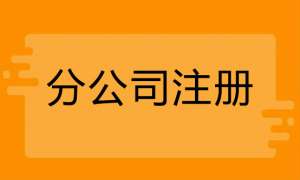 注冊分公司需要什么手續有哪些流程