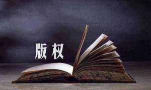 蕪湖繁昌區軟件著作權的價值演化趨勢及其成因分析