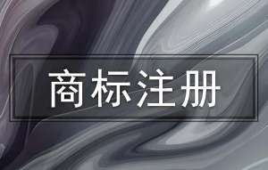 在蕪湖申請商標(biāo)注冊需要注意哪些細(xì)節(jié)問題?